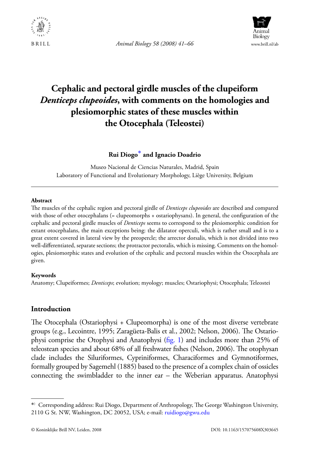 Cephalic and Pectoral Girdle Muscles of the Clupeiform Denticeps