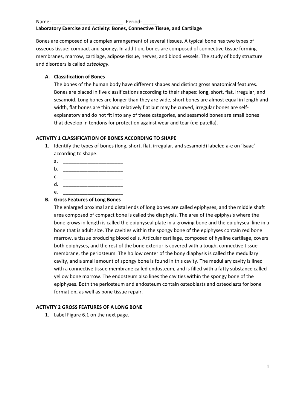 Laboratory Exercise and Activity: Bones, Connective Tissue, and Cartilage