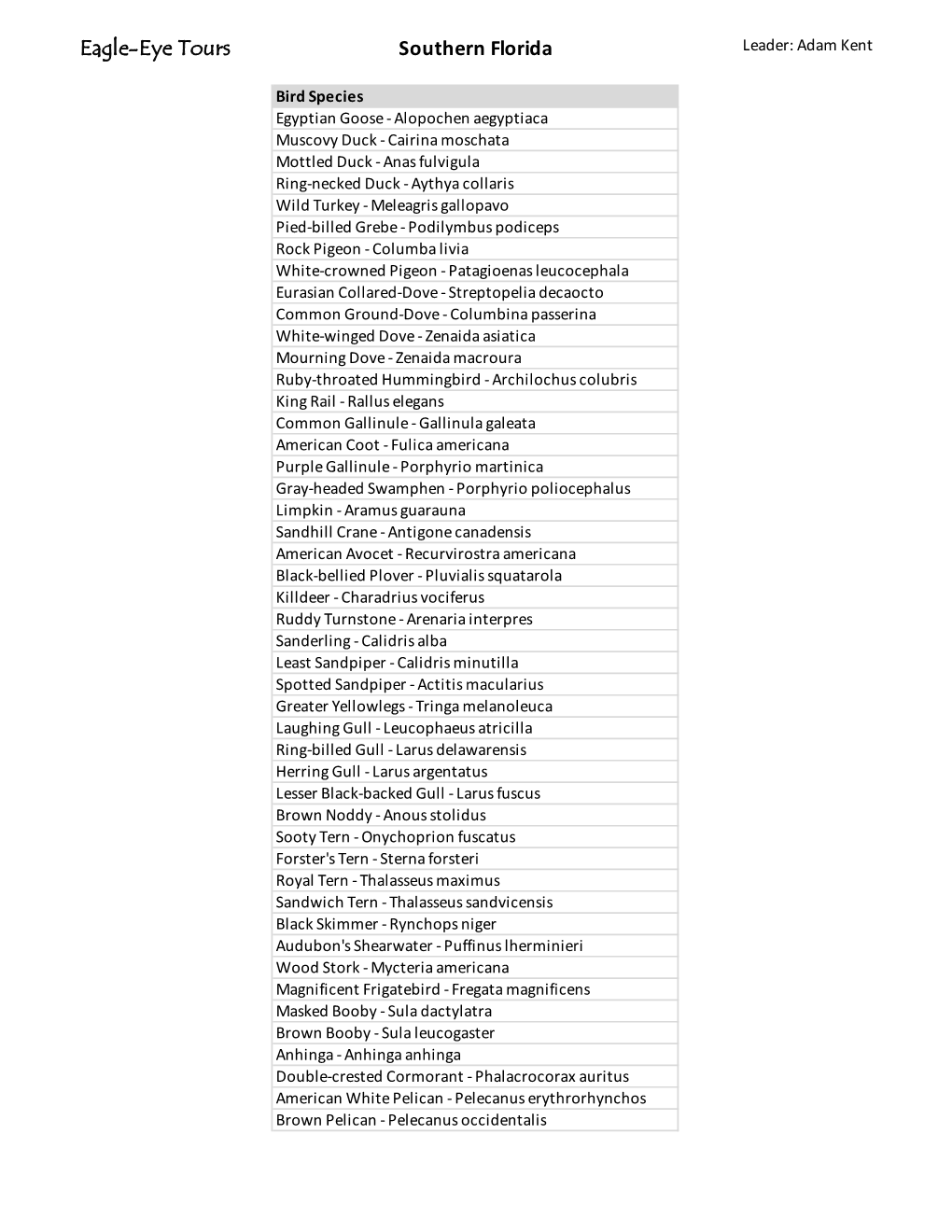 2019 Southern Florida Species List