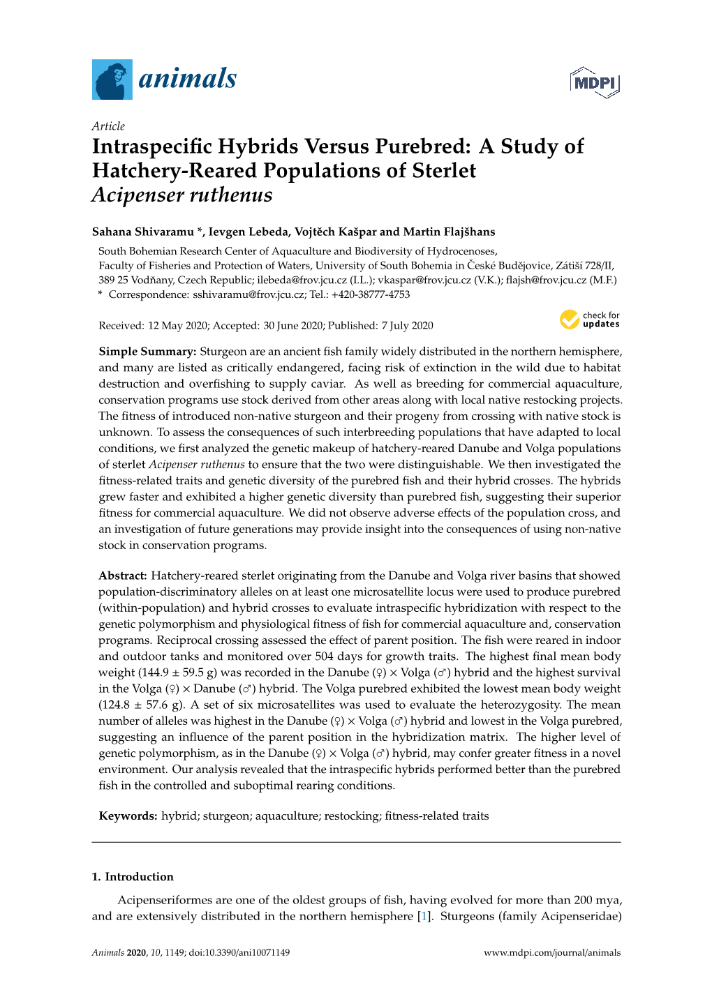 A Study of Hatchery-Reared Populations of Sterlet Acipenser Ruthenus