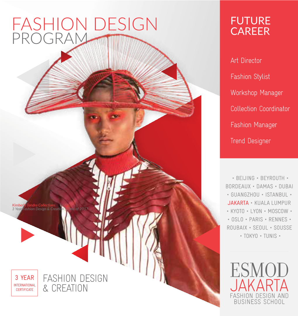 Fashion Design Future Program Career