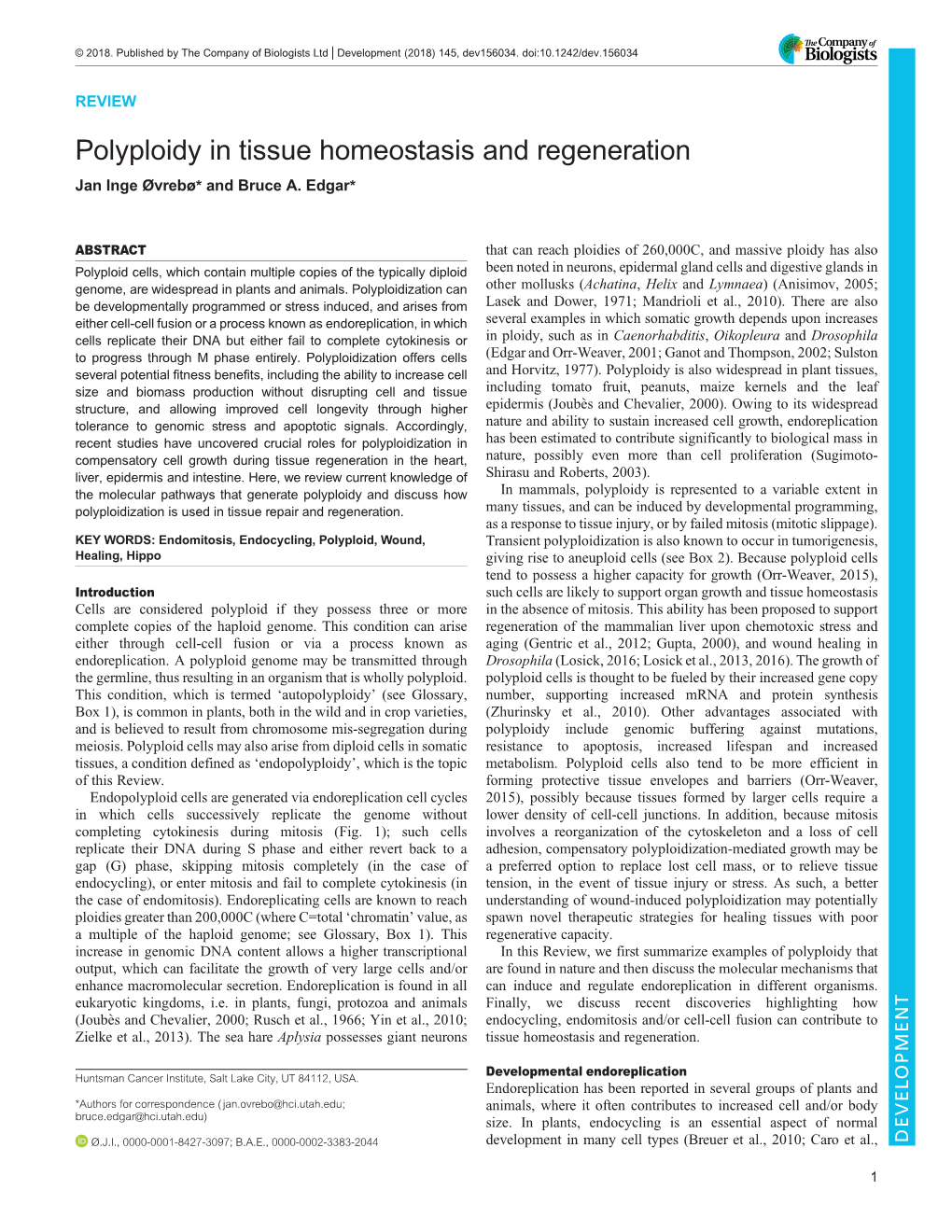 Polyploidy in Tissue Homeostasis and Regeneration Jan Inge Øvrebø* and Bruce A