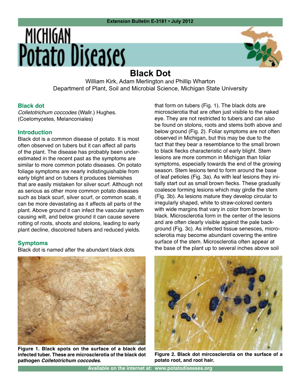 Black Dot William Kirk, Adam Merlington and Phillip Wharton Department of Plant, Soil and Microbial Science, Michigan State University