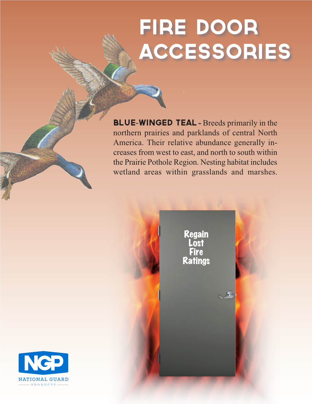 Fire Door Accessories