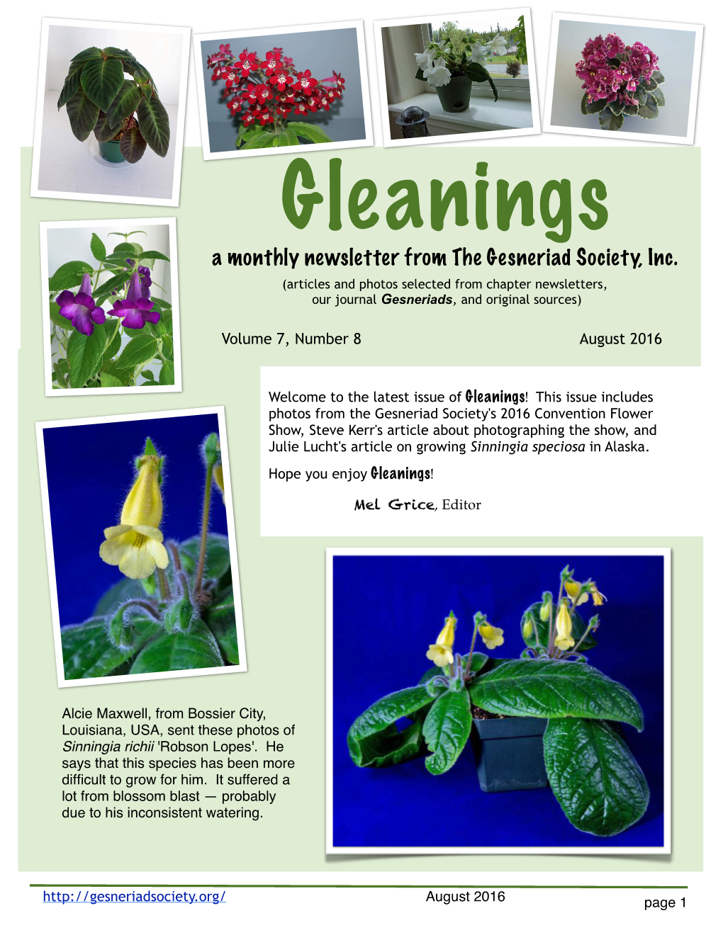 Gleanings a Monthly Newsletter from the Gesneriad Society, Inc