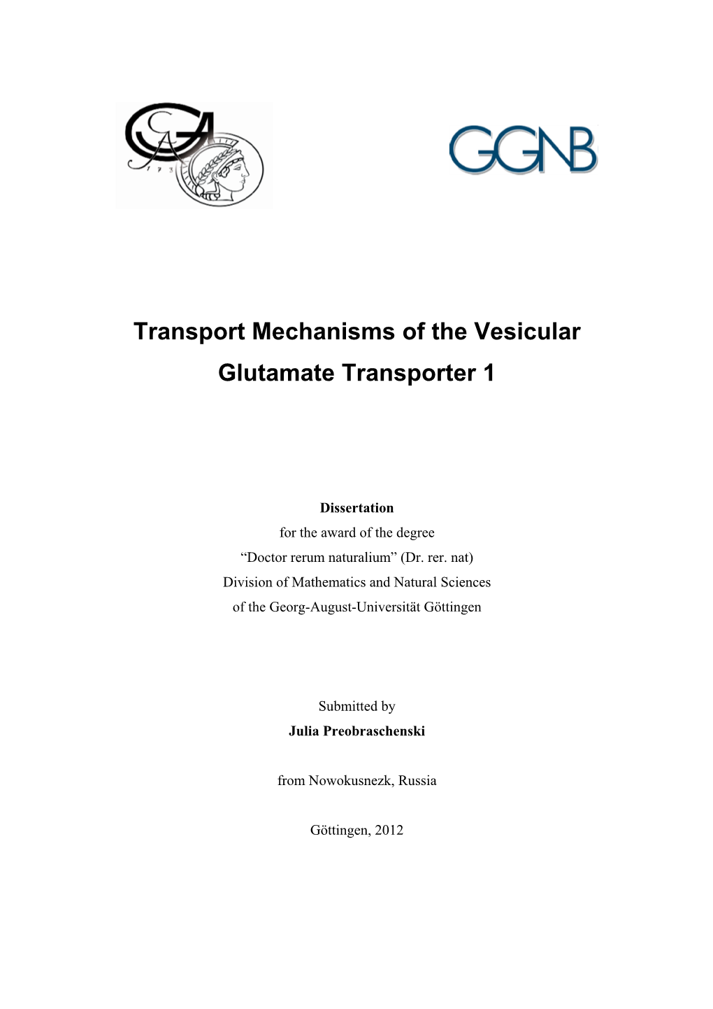 Transport Mechanisms of the Vesicular Glutamate Transporter 1