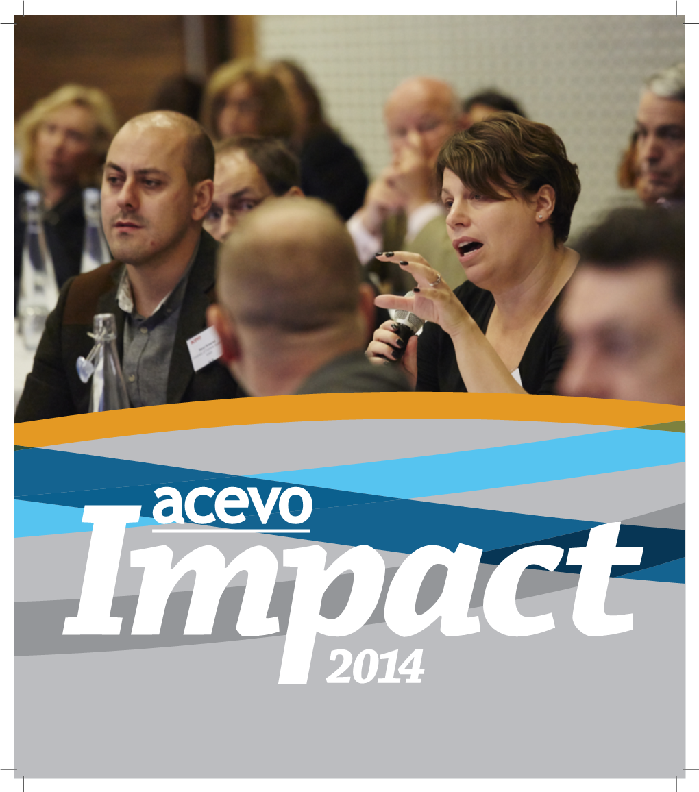 Impact Report 2014