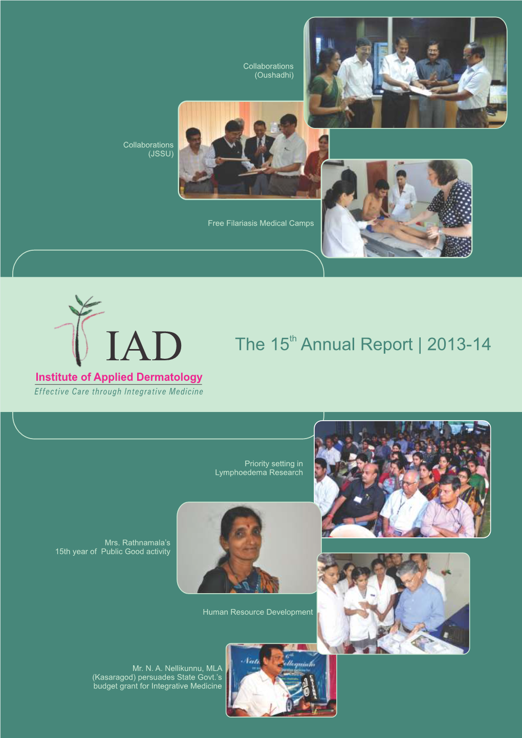 IAD Annual-Report 181113 INNER 2014 Final