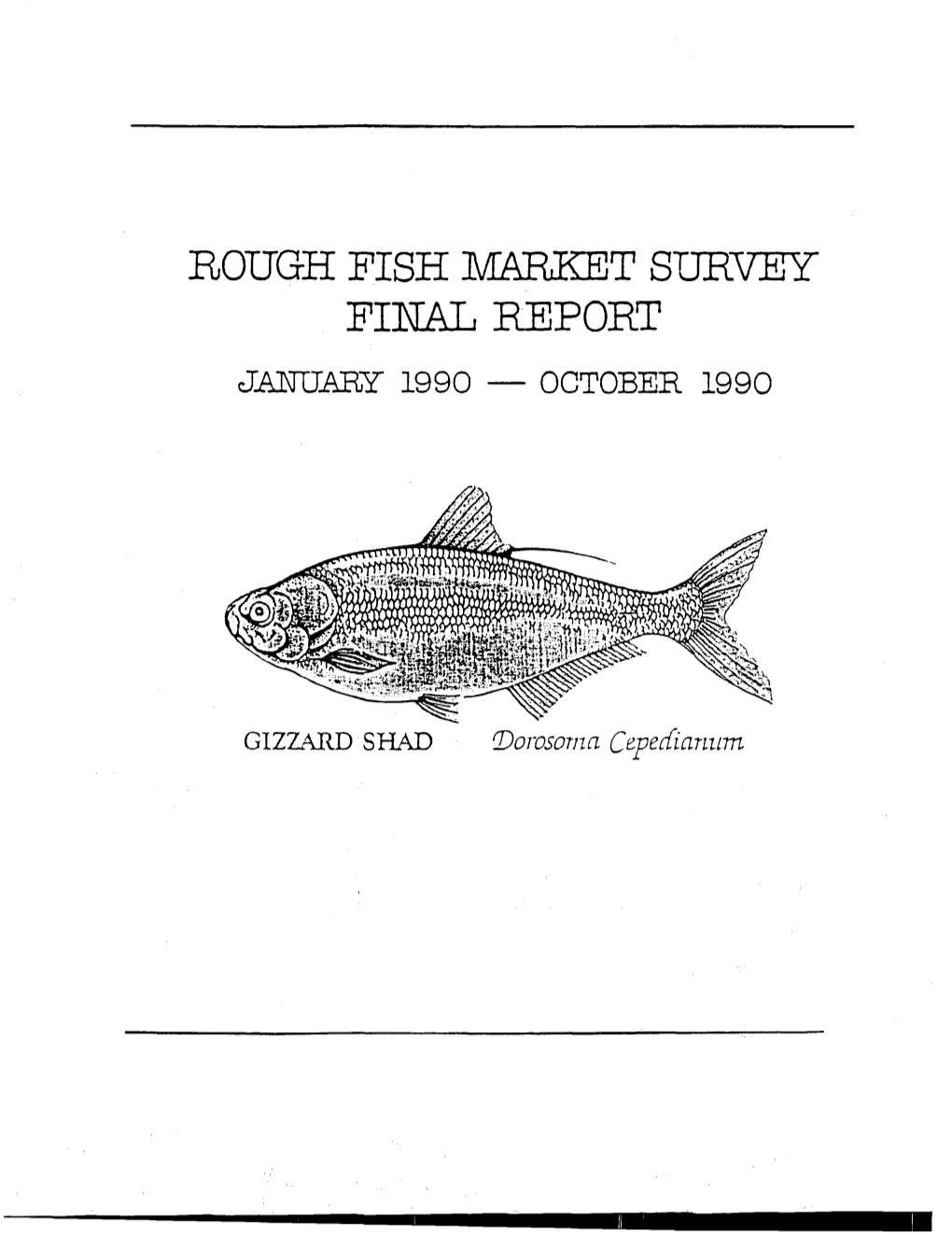Rough Fish Marjket Survey 'Final Report January 1990 — October 1990