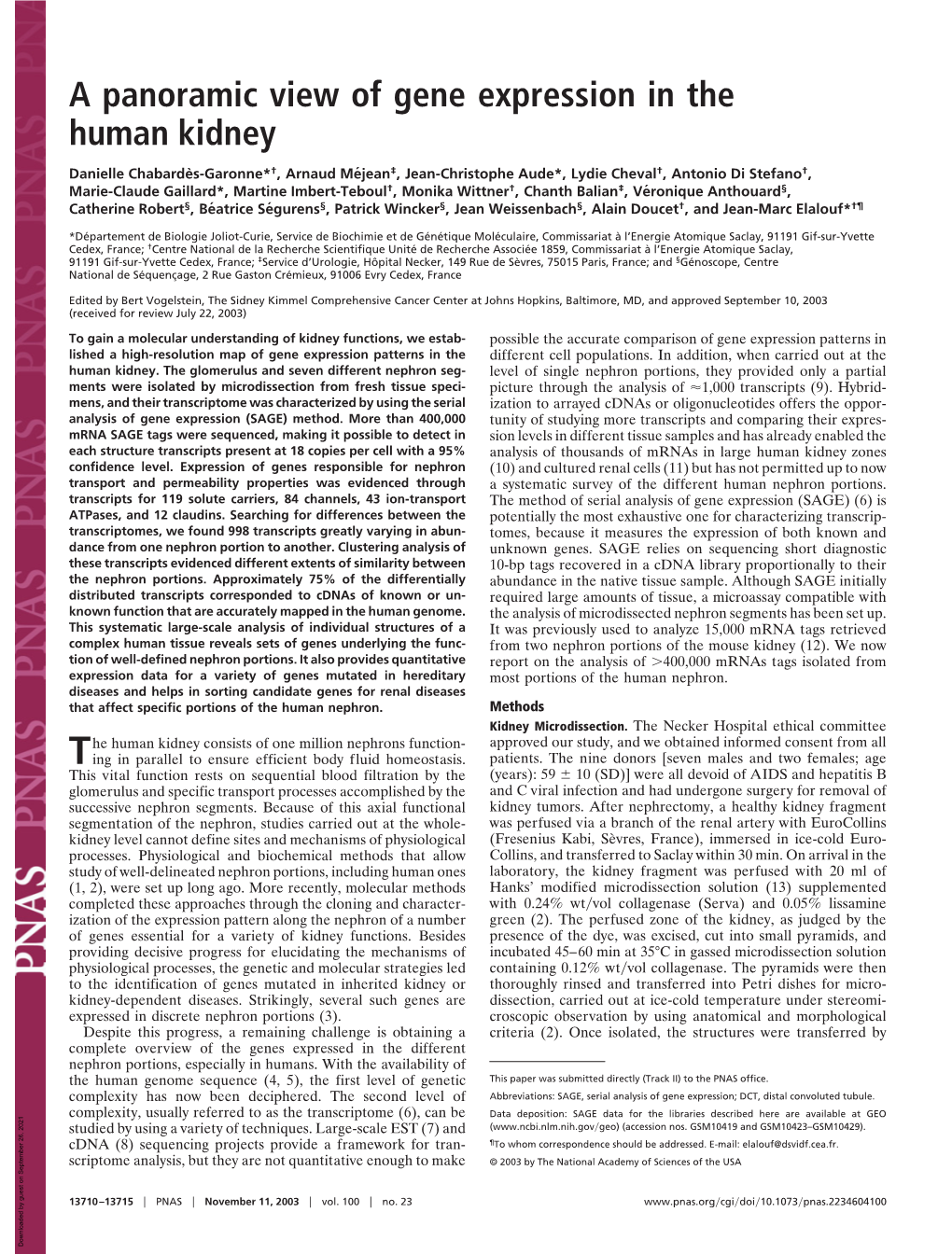 A Panoramic View of Gene Expression in the Human Kidney