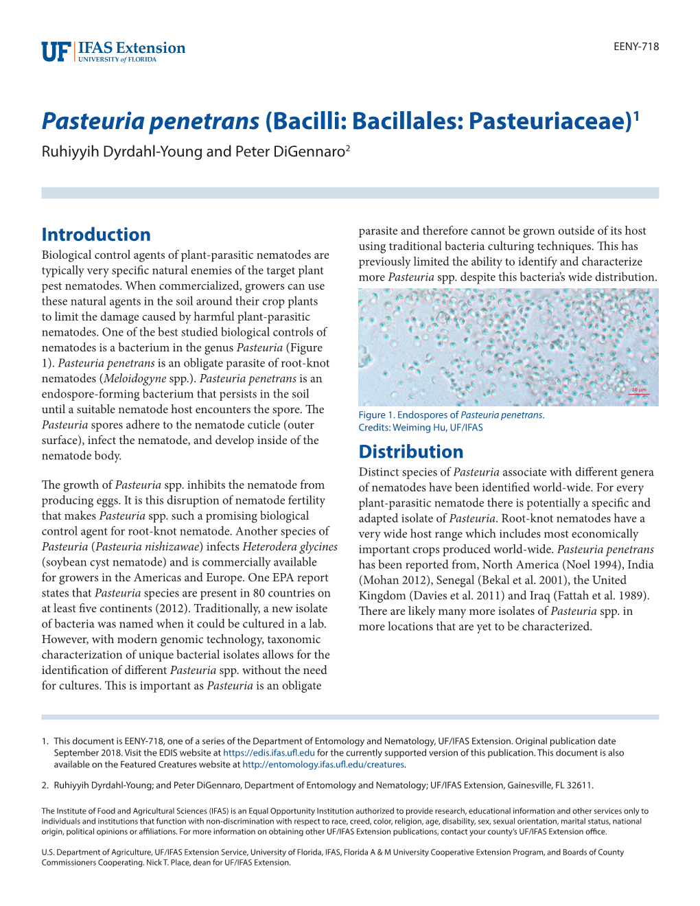 Pasteuria Penetrans (Bacilli: Bacillales: Pasteuriaceae)1 Ruhiyyih Dyrdahl-Young and Peter Digennaro2