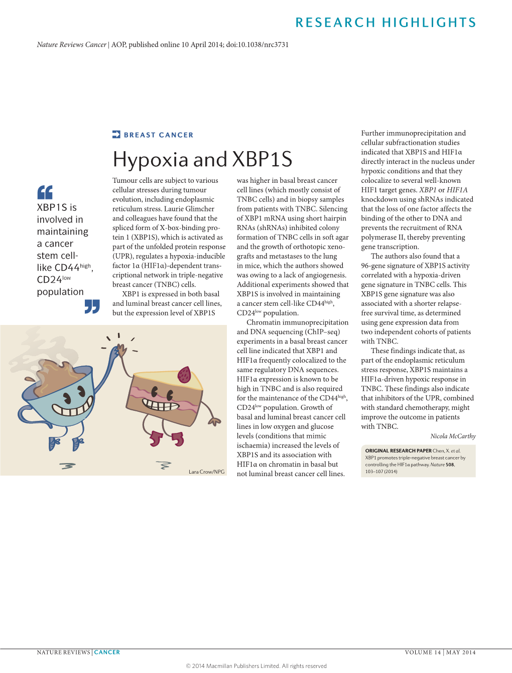 Hypoxia and XBP1S
