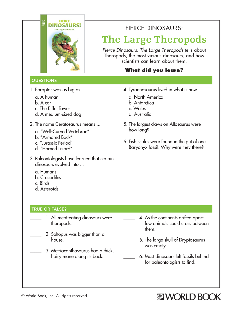 The Large Theropods Fierce Dinosaurs: the Large Theropods Tells About Theropods, the Most Vicious Dinosaurs, and How Scientists Can Learn About Them