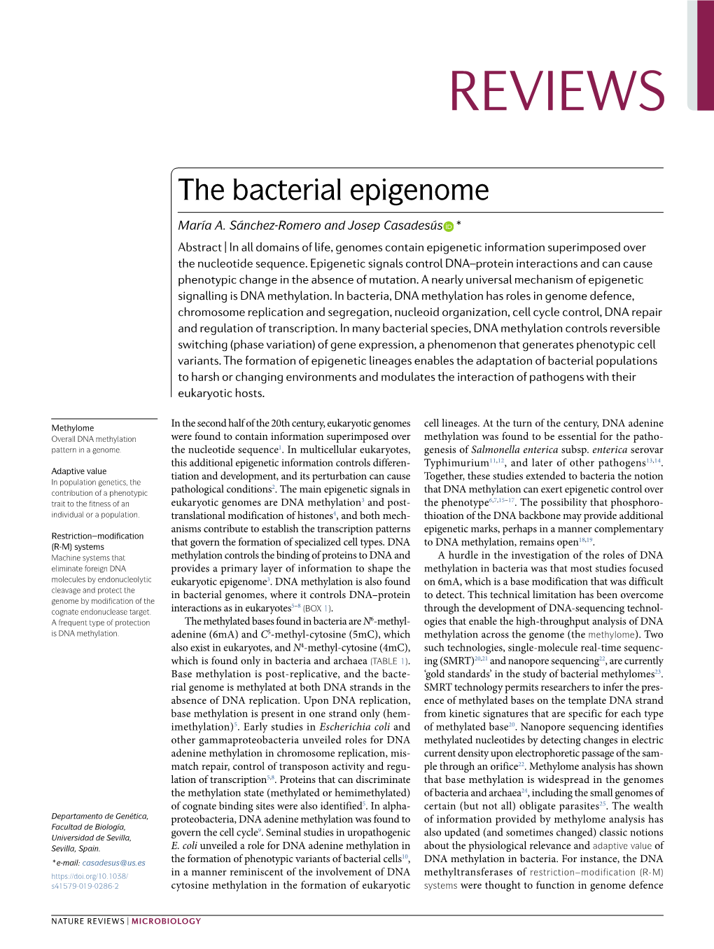 The Bacterial Epigenome