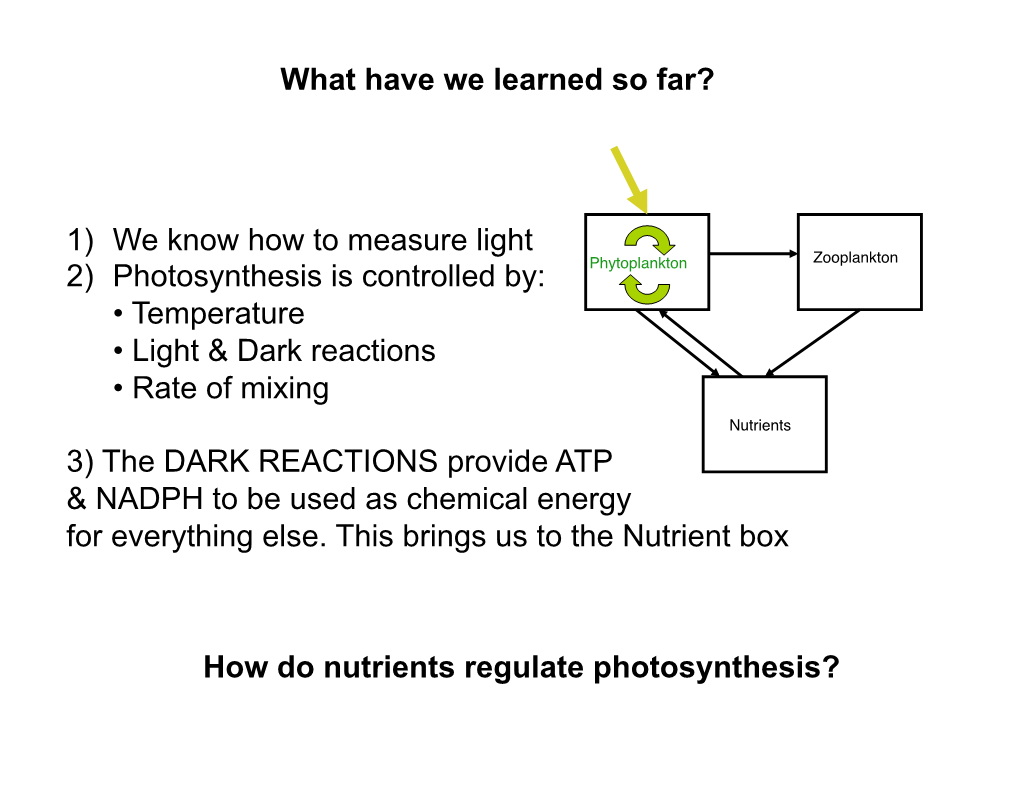 How Do Nutrients Regulate Photosynthesis? What Have We Learned So Far? 1) We Know How to Measure Light 2) Photosynthesis