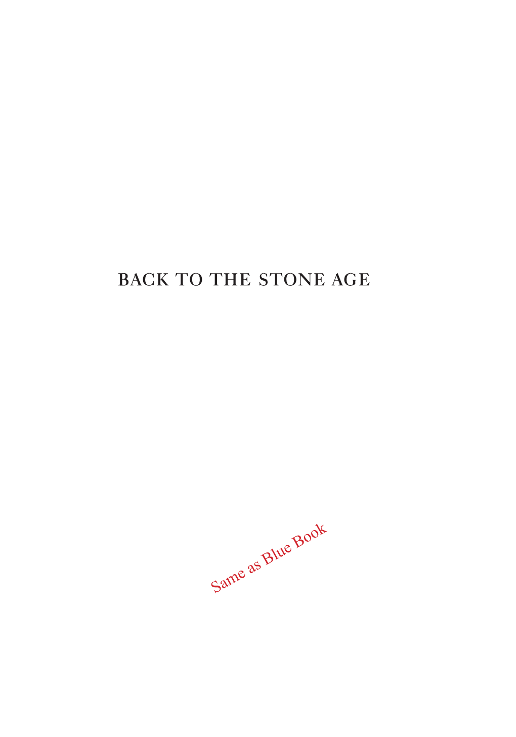 The Stone Age