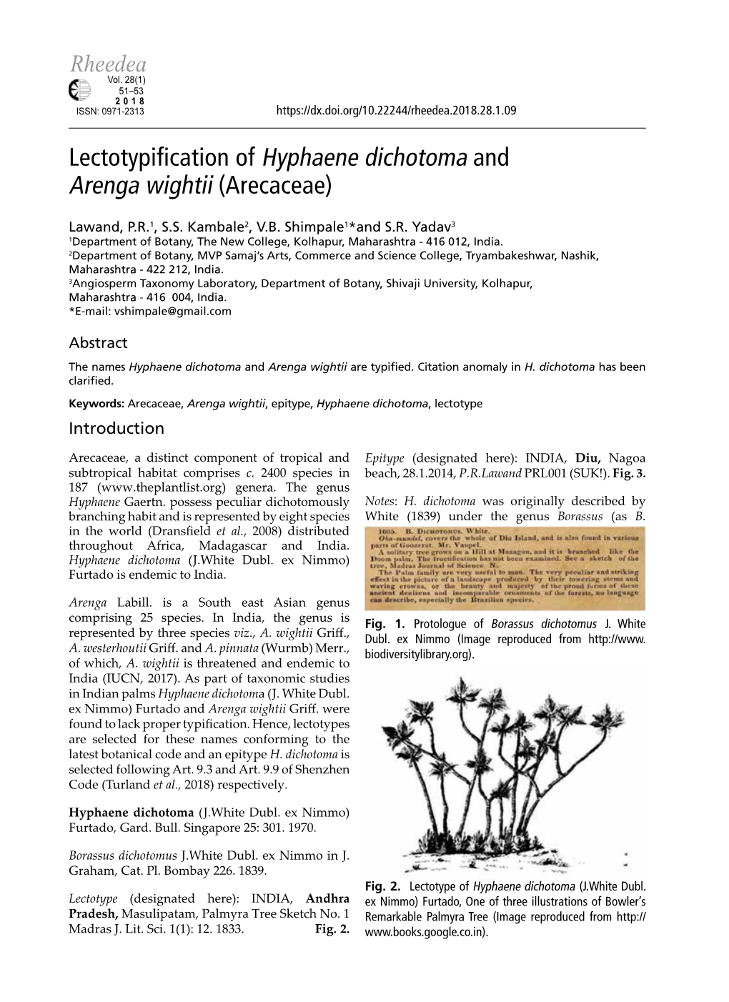 Lectotypification of Hyphaene Dichotoma and Arenga Wightii (Arecaceae)