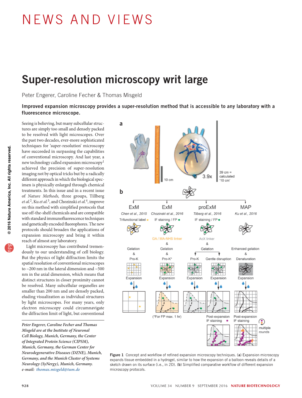 Super-Resolution Microscopy Writ Large