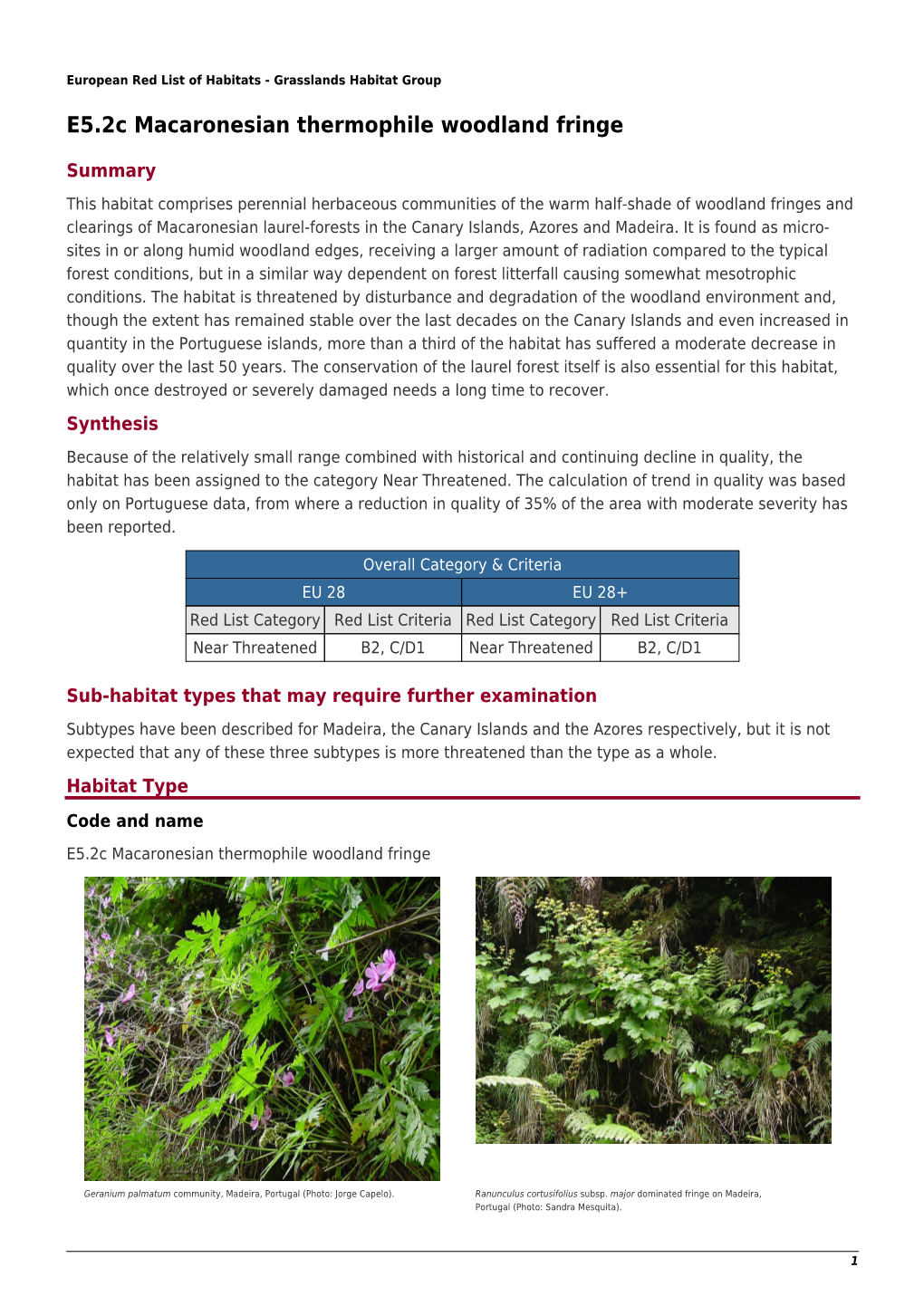 E5.2C Macaronesian Thermophile Woodland Fringe