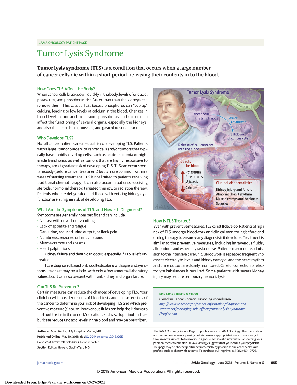 Tumor Lysis Syndrome