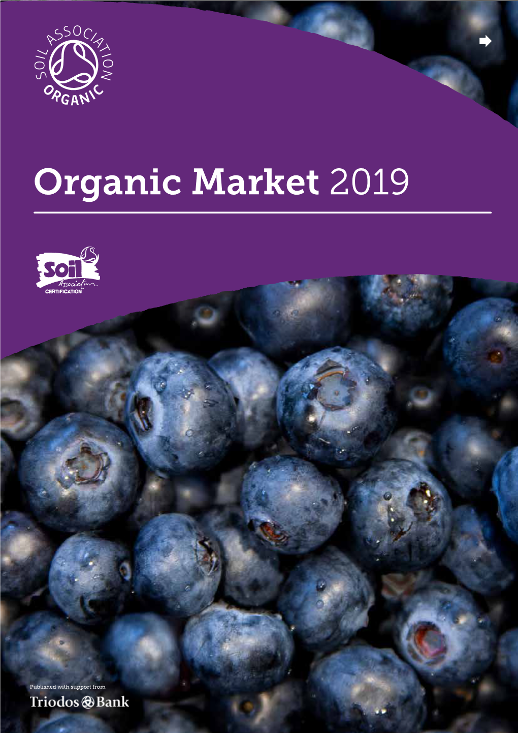 Organic Market 2019