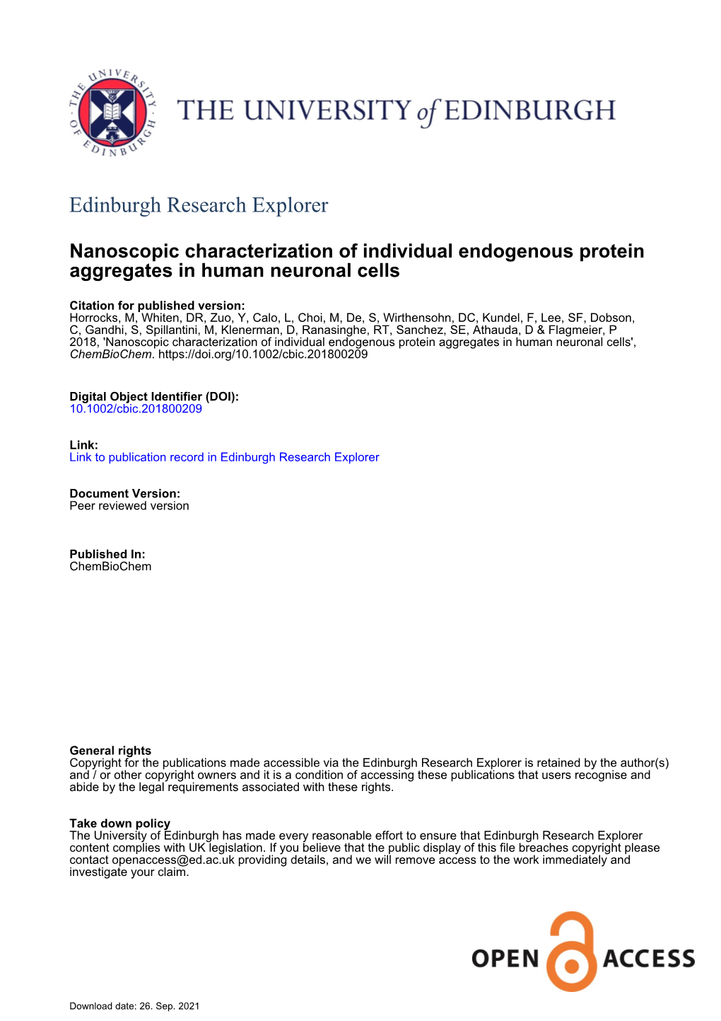 Nanoscopic Characterization of Individual Endogenous Protein Aggregates in Human Neuronal Cells