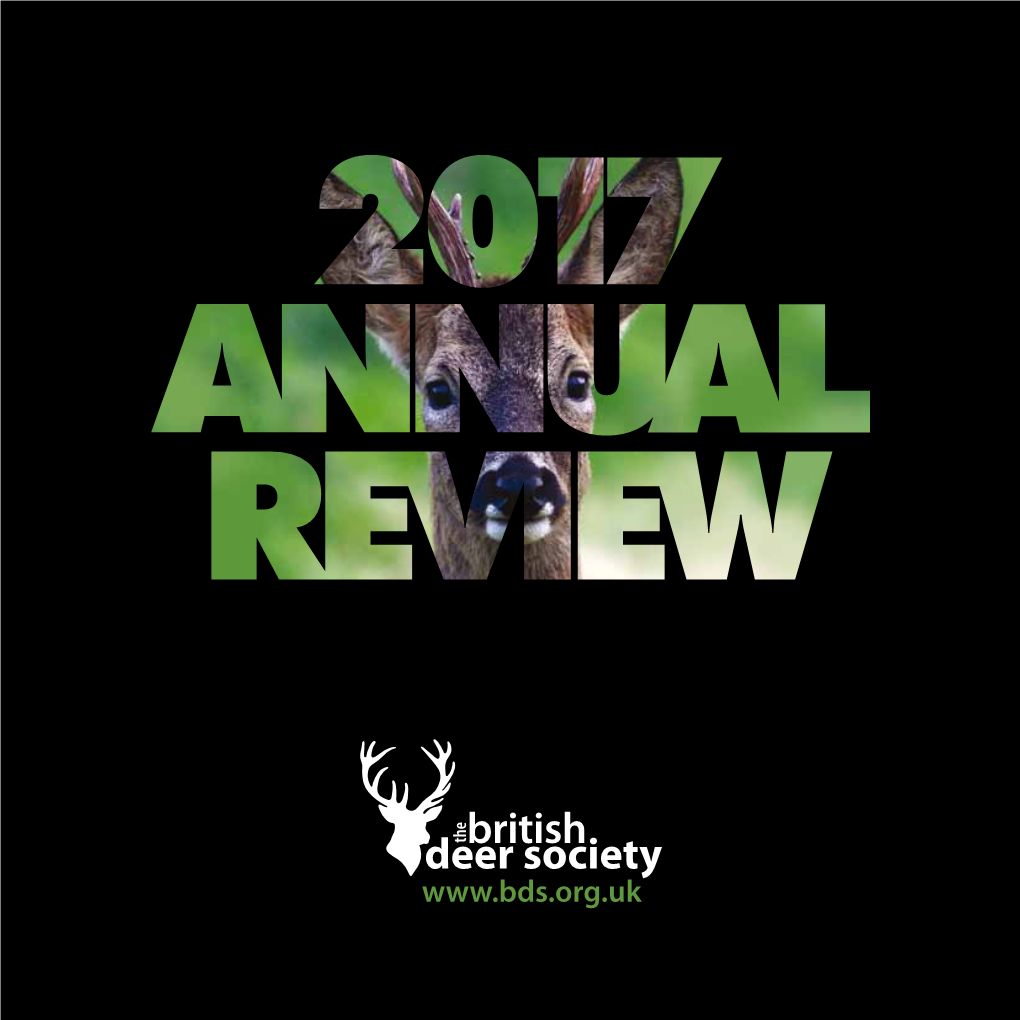 Annual Review 2017