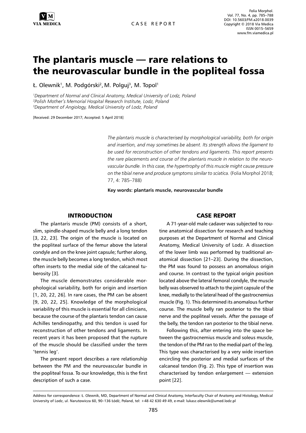 The Plantaris Muscle — Rare Relations to the Neurovascular Bundle in the Popliteal Fossa Ł