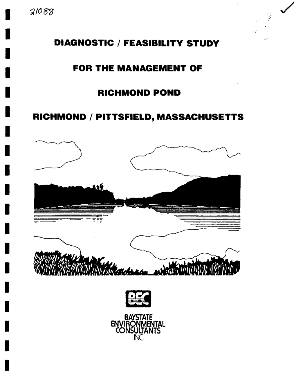 Richmond Pond Diagnostic Feasibility Study