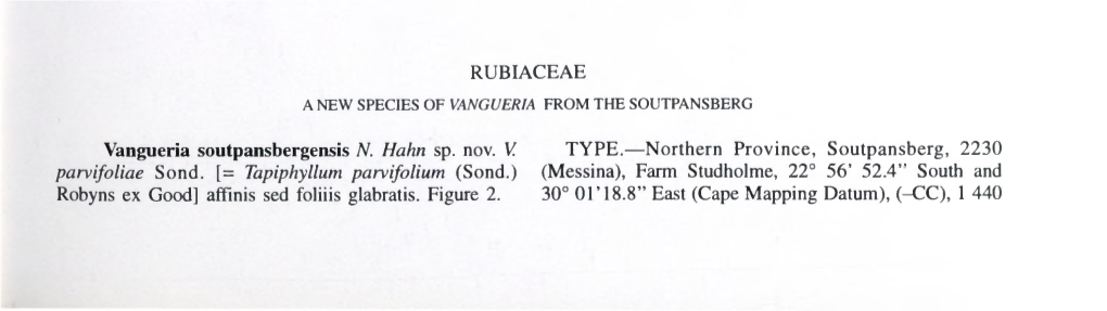 RUBIACEAE Vangueria Soutpansbergensis N
