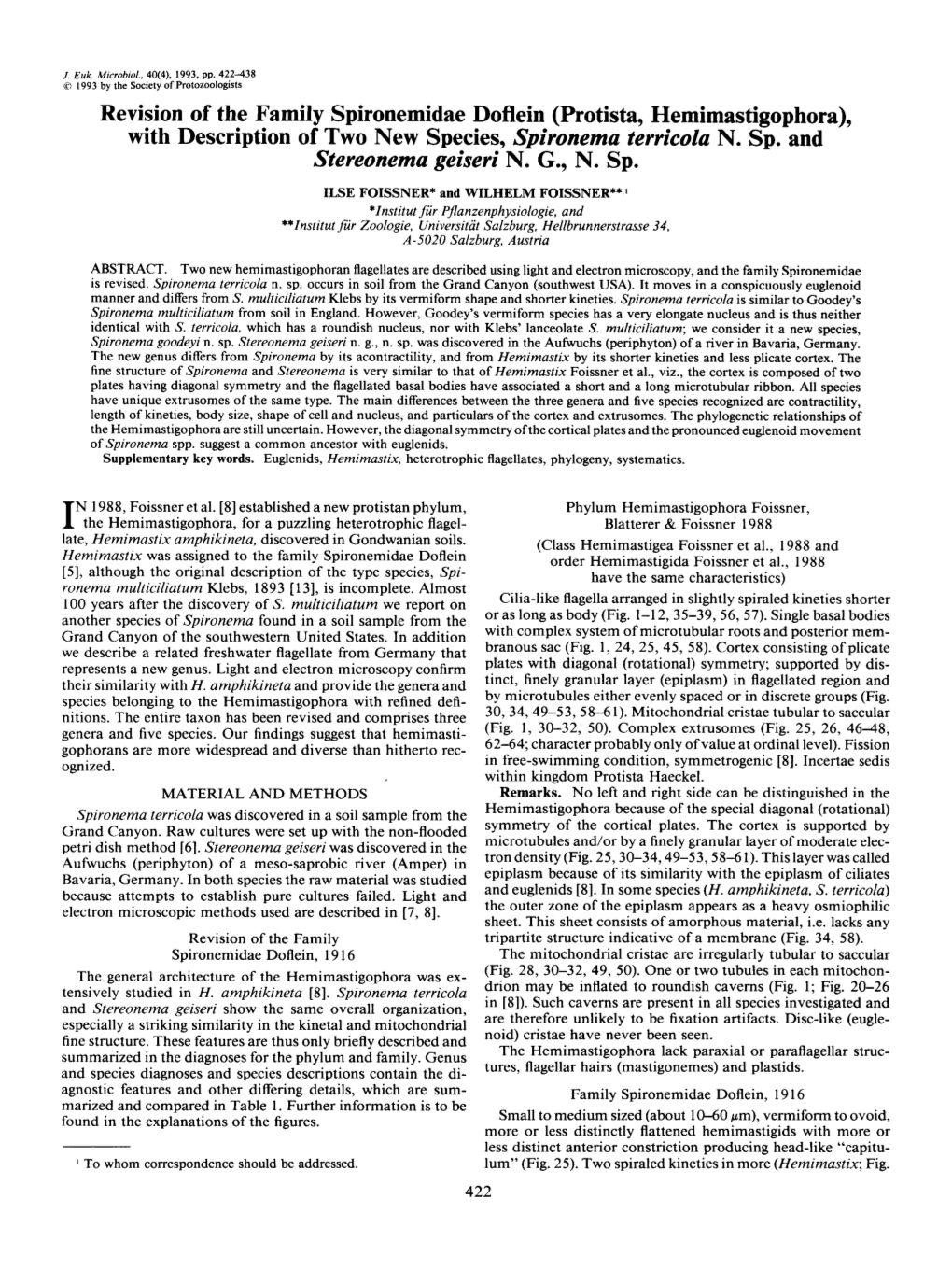 Revision of the Family Spironemidae Doflein (Protista, Hemimastigophora), with Description of Two New Species, Spironema Terrico