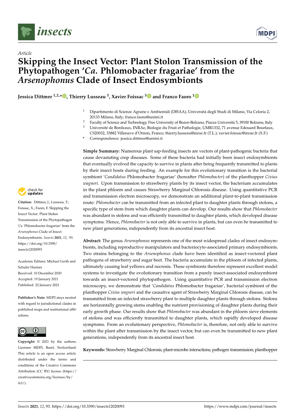 Skipping the Insect Vector: Plant Stolon Transmission of the Phytopathogen ‘Ca