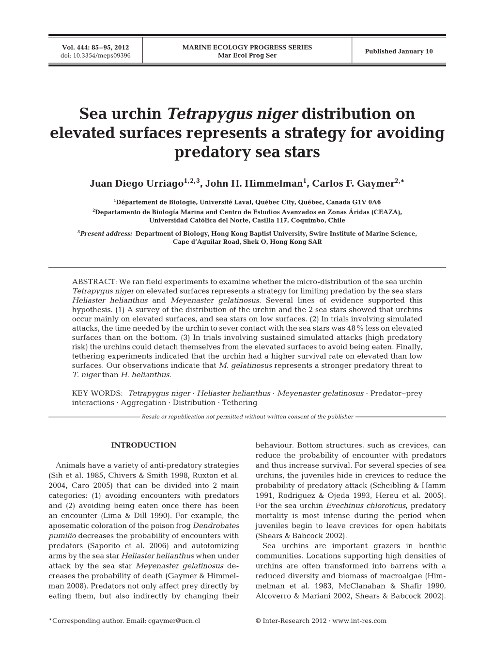 Sea Urchin Tetrapygus Niger Distribution on Elevated Surfaces Represents a Strategy for Avoiding Predatory Sea Stars