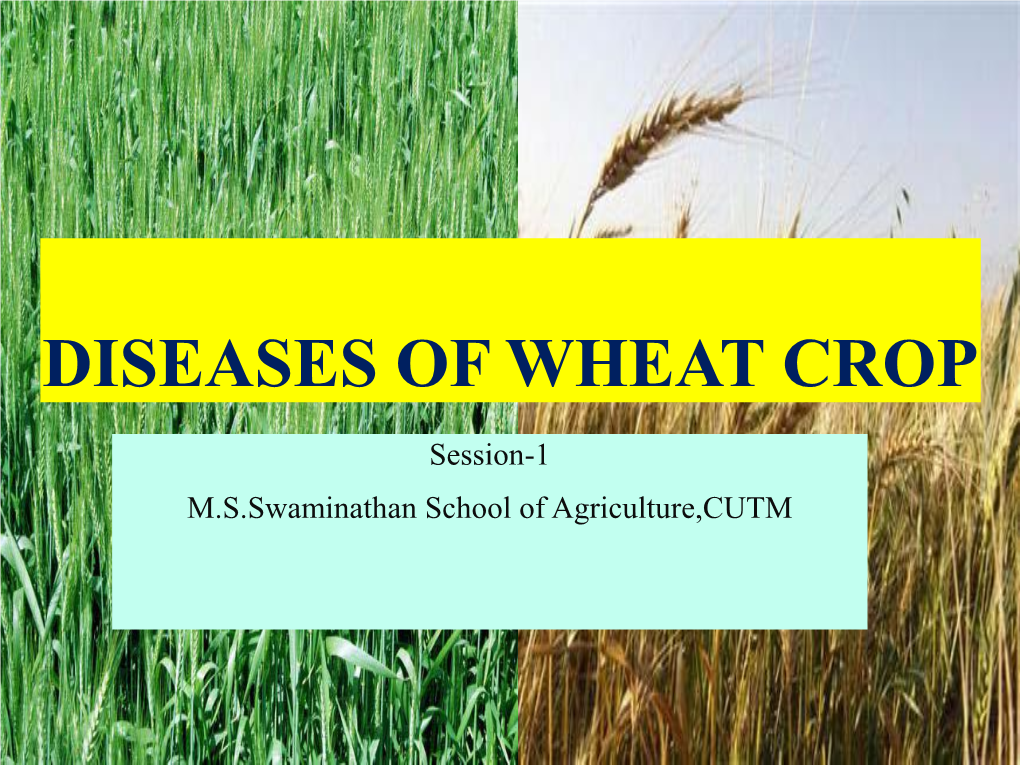 Session-1 DISEASES of WHEAT CROP
