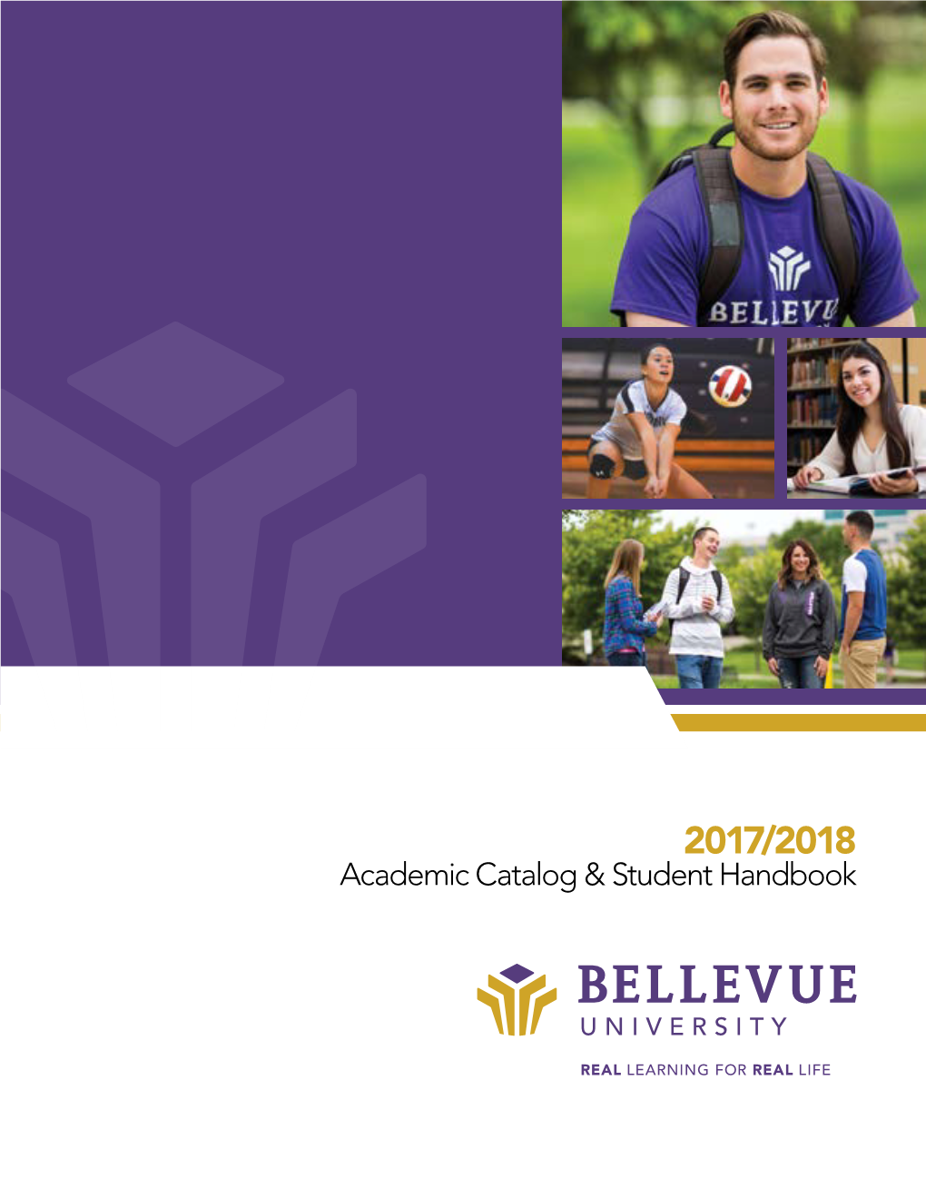 2017/2018 Bellevue University Academic Catalog and Student