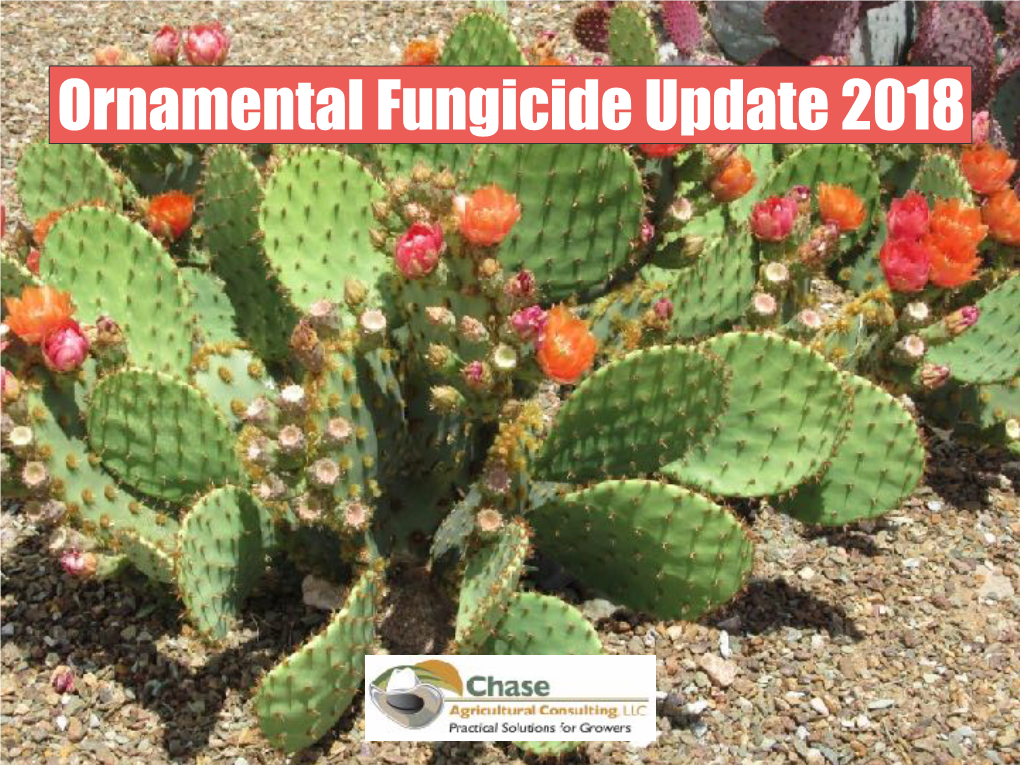 Ornamental Fungicide Update 2018 New Fungicides