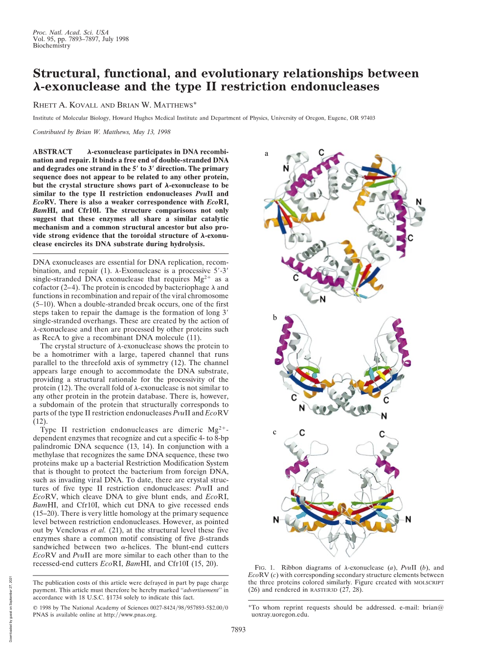 Exonuclease and the Type II Restriction Endonucleases