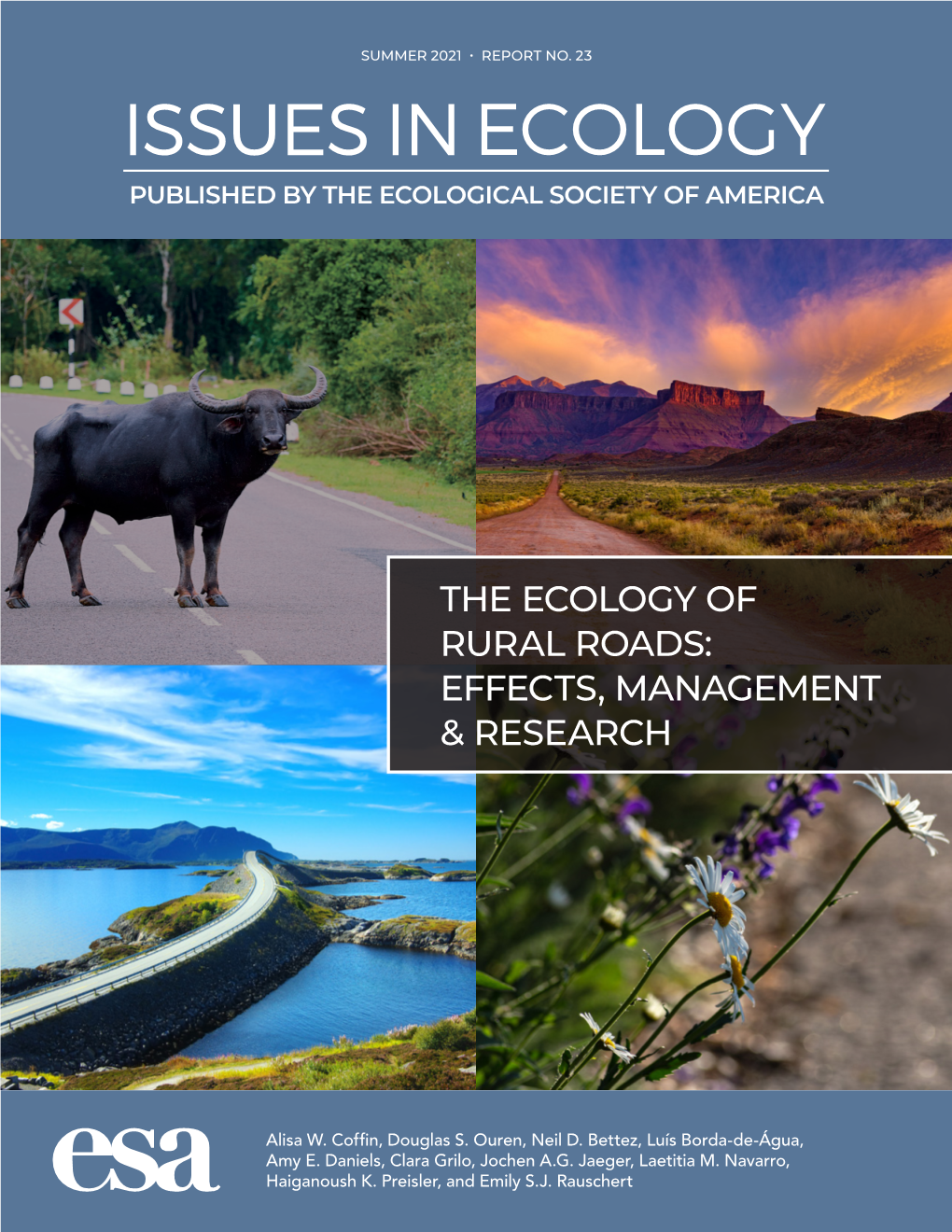 The Ecology of Rural Roads: Effects, Management & Research