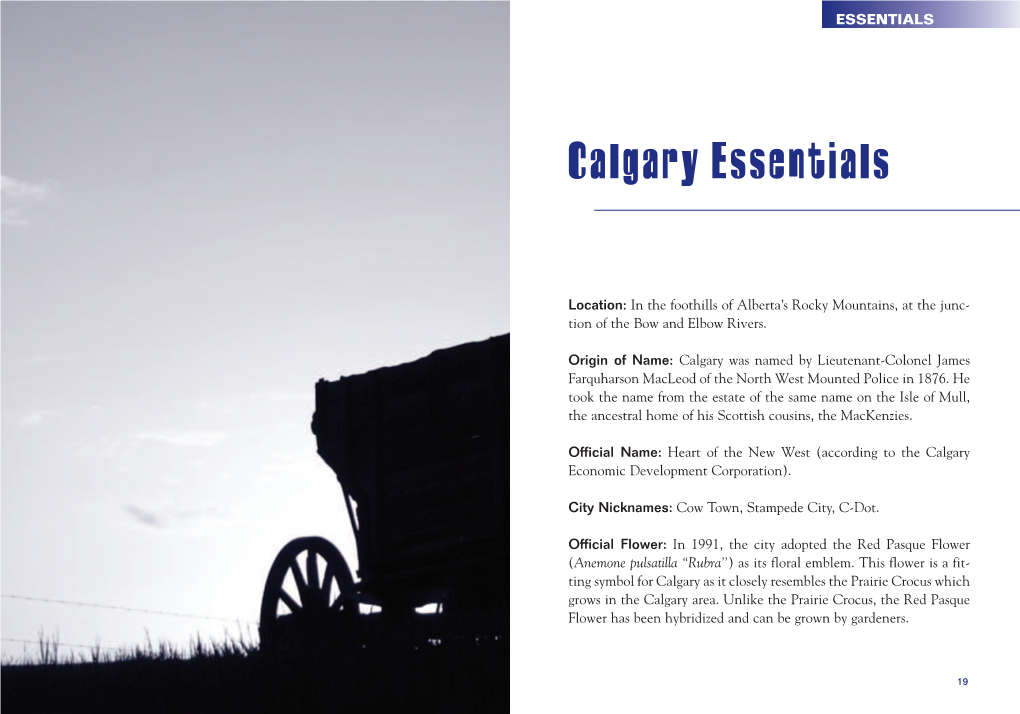 Calgary Essentials