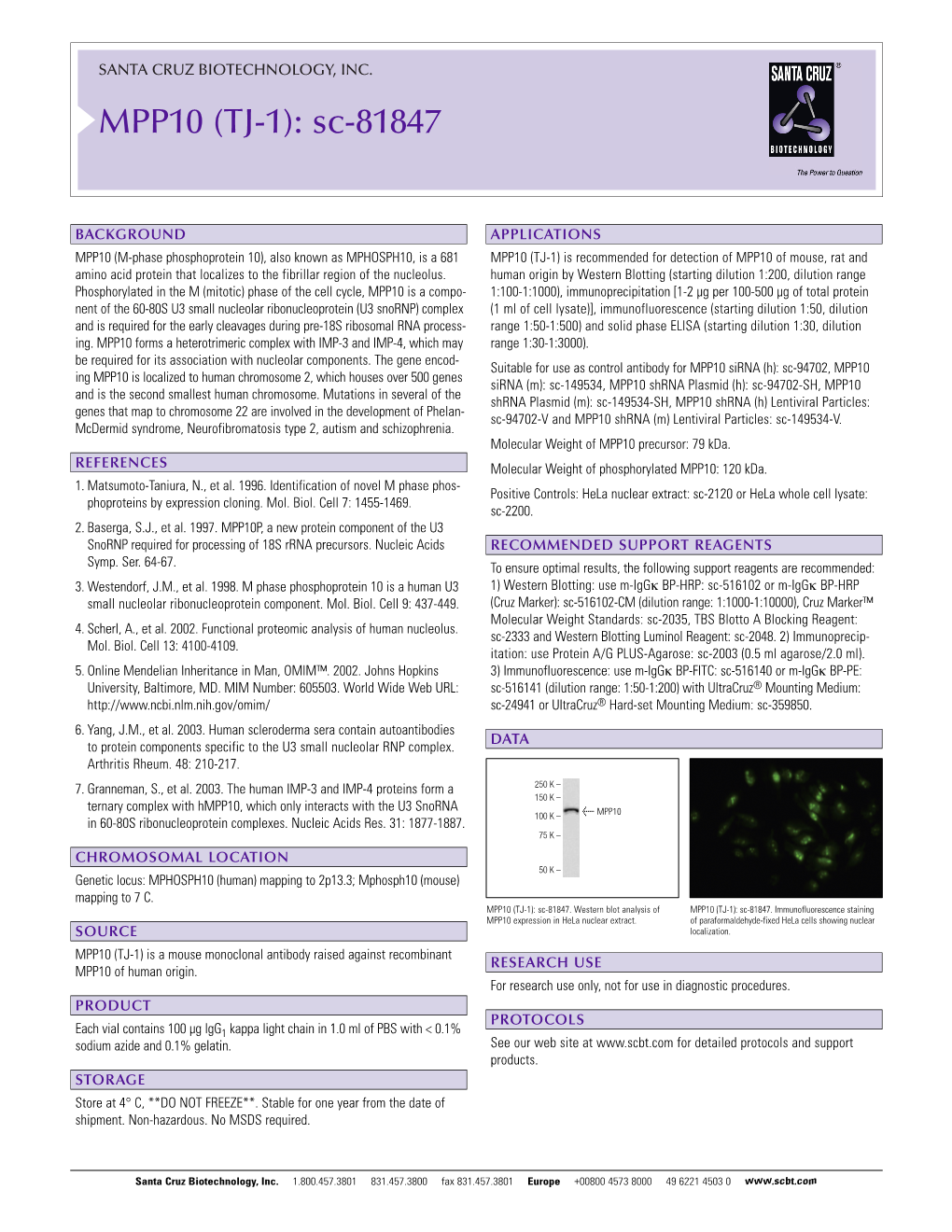 Datasheet Blank Template