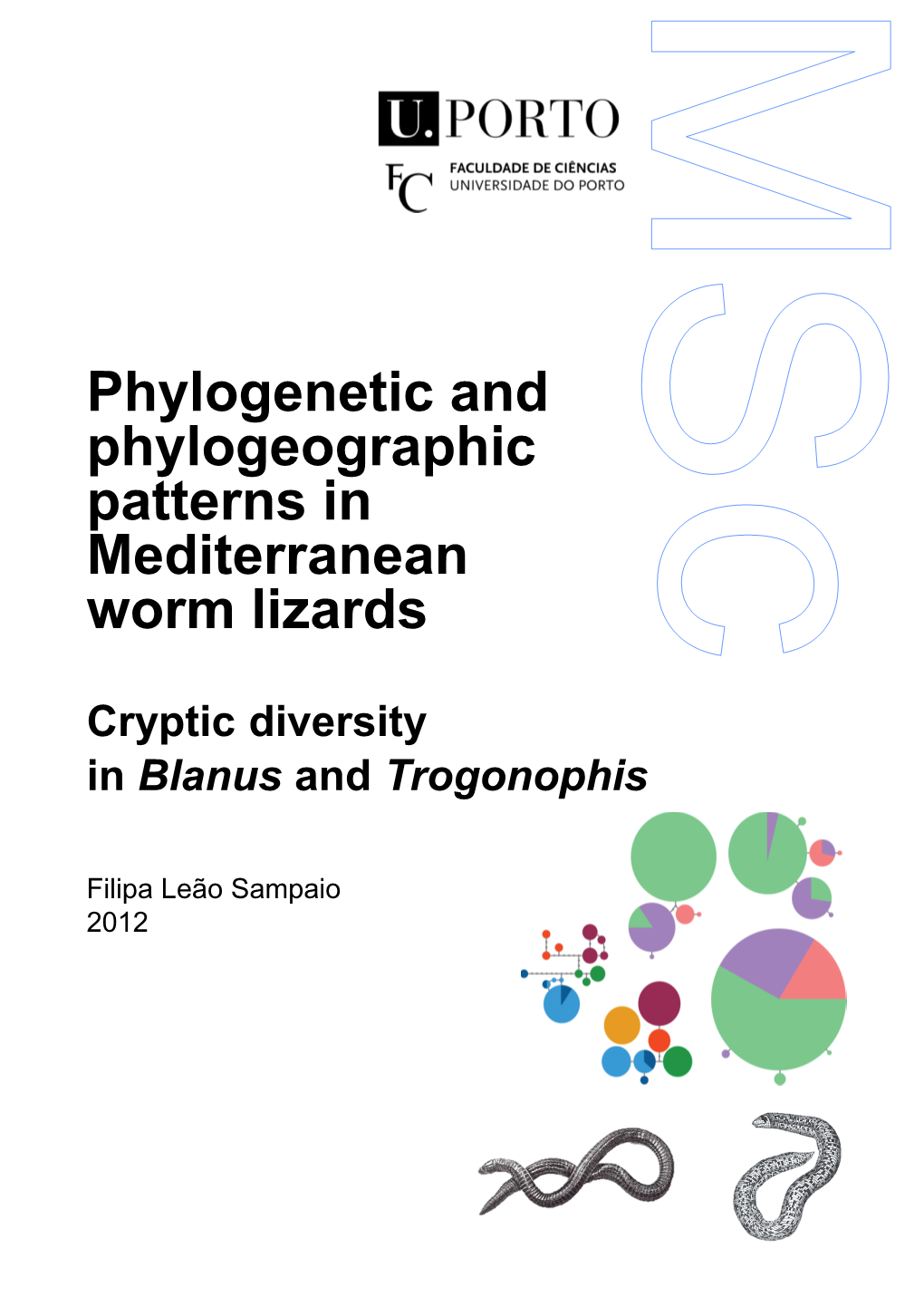 Phylogenetic and Phylogeographic Patterns in Mediterranean Worm Lizards