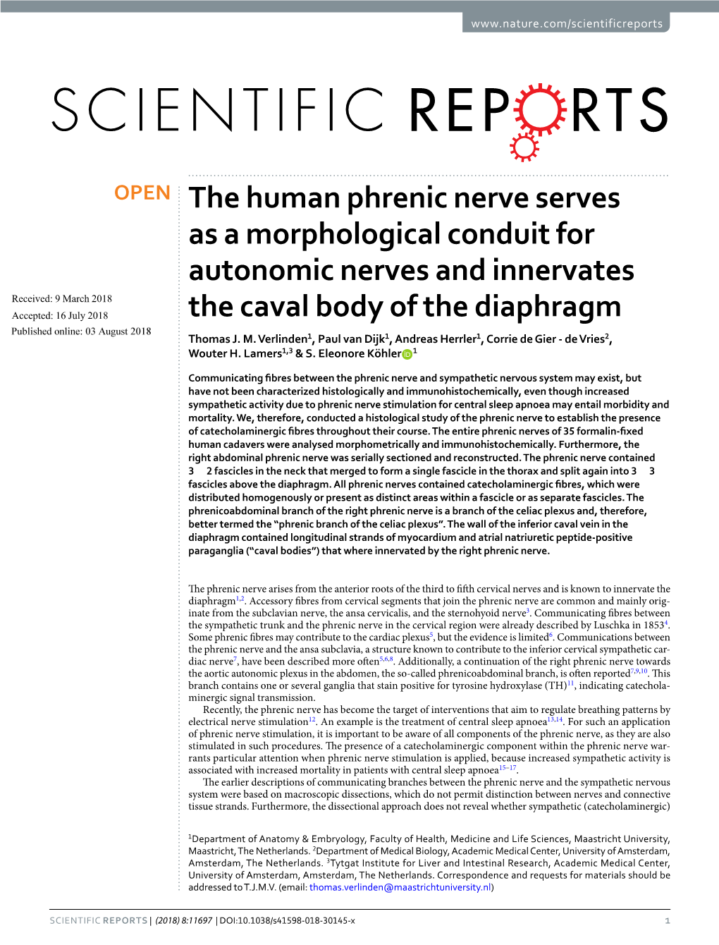 The Human Phrenic Nerve Serves As a Morphological Conduit For