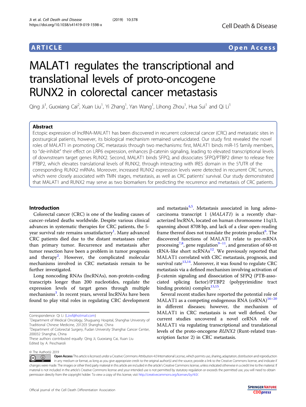 MALAT1 Regulates the Transcriptional and Translational Levels of Proto