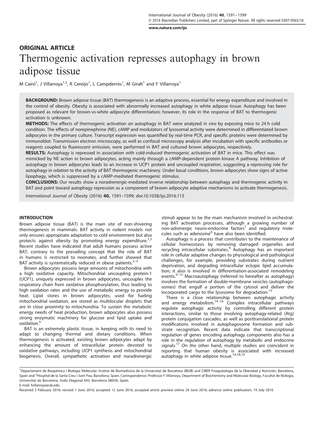 Thermogenic Activation Represses Autophagy in Brown Adipose Tissue