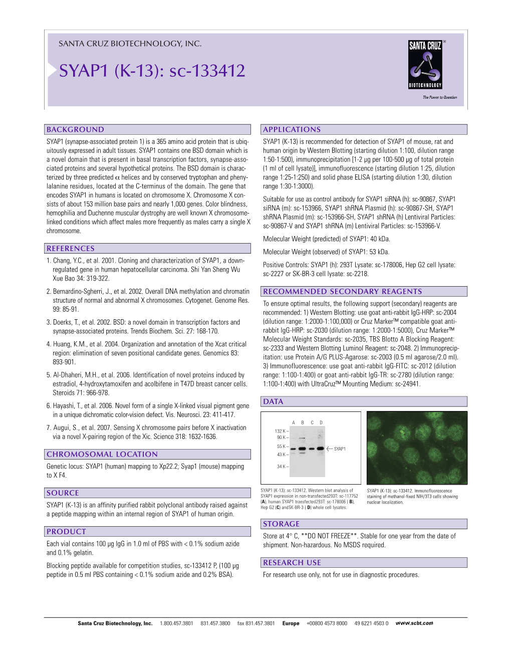 SYAP1 (K-13): Sc-133412