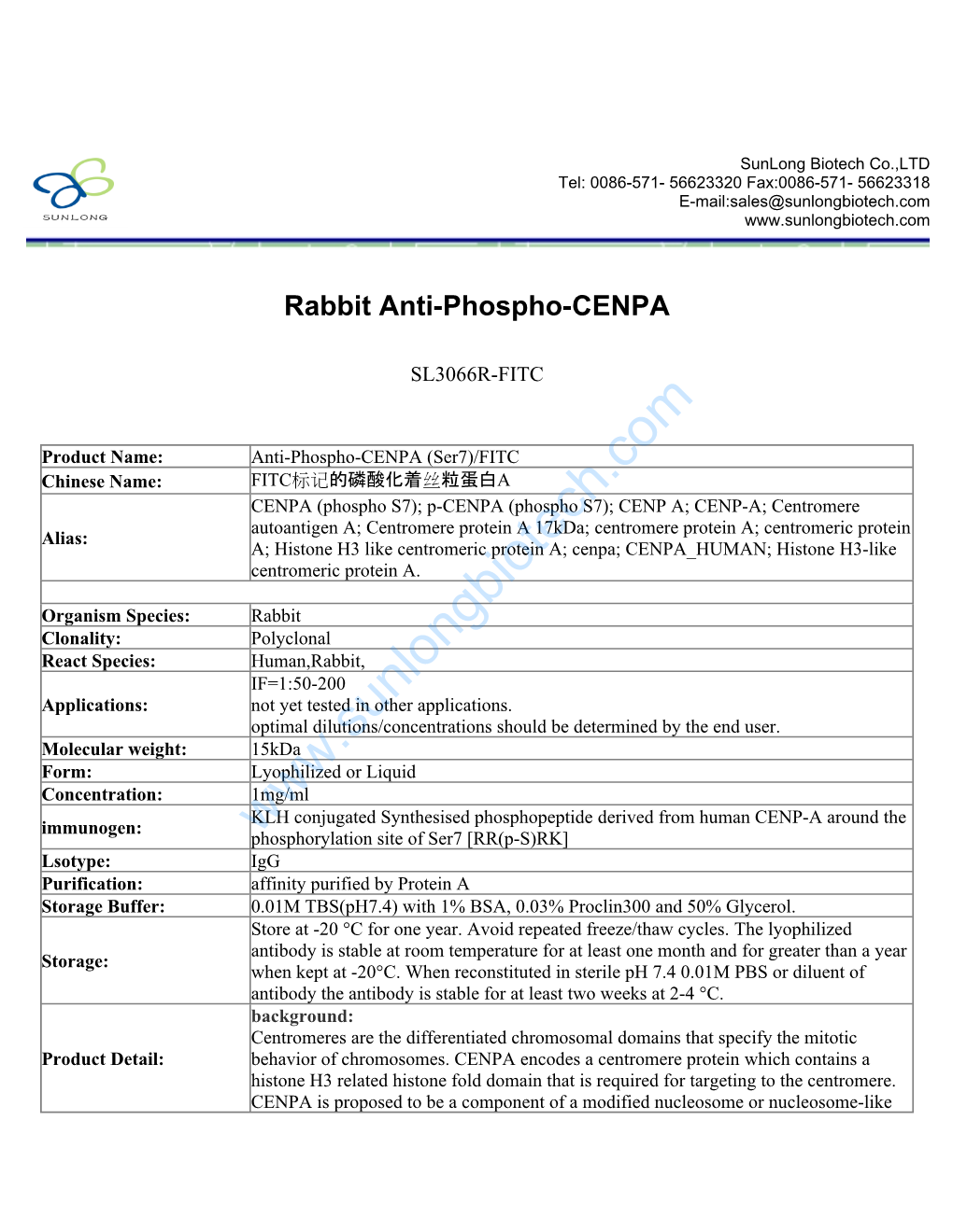 Rabbit Anti-Phospho-CENPA