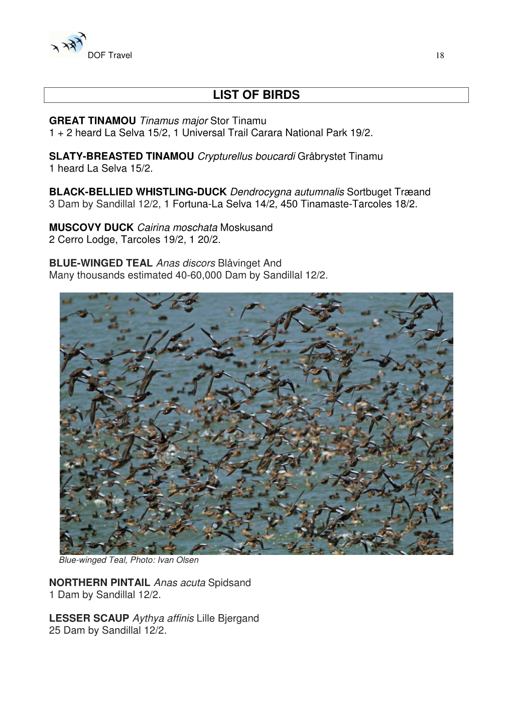 List of Birds