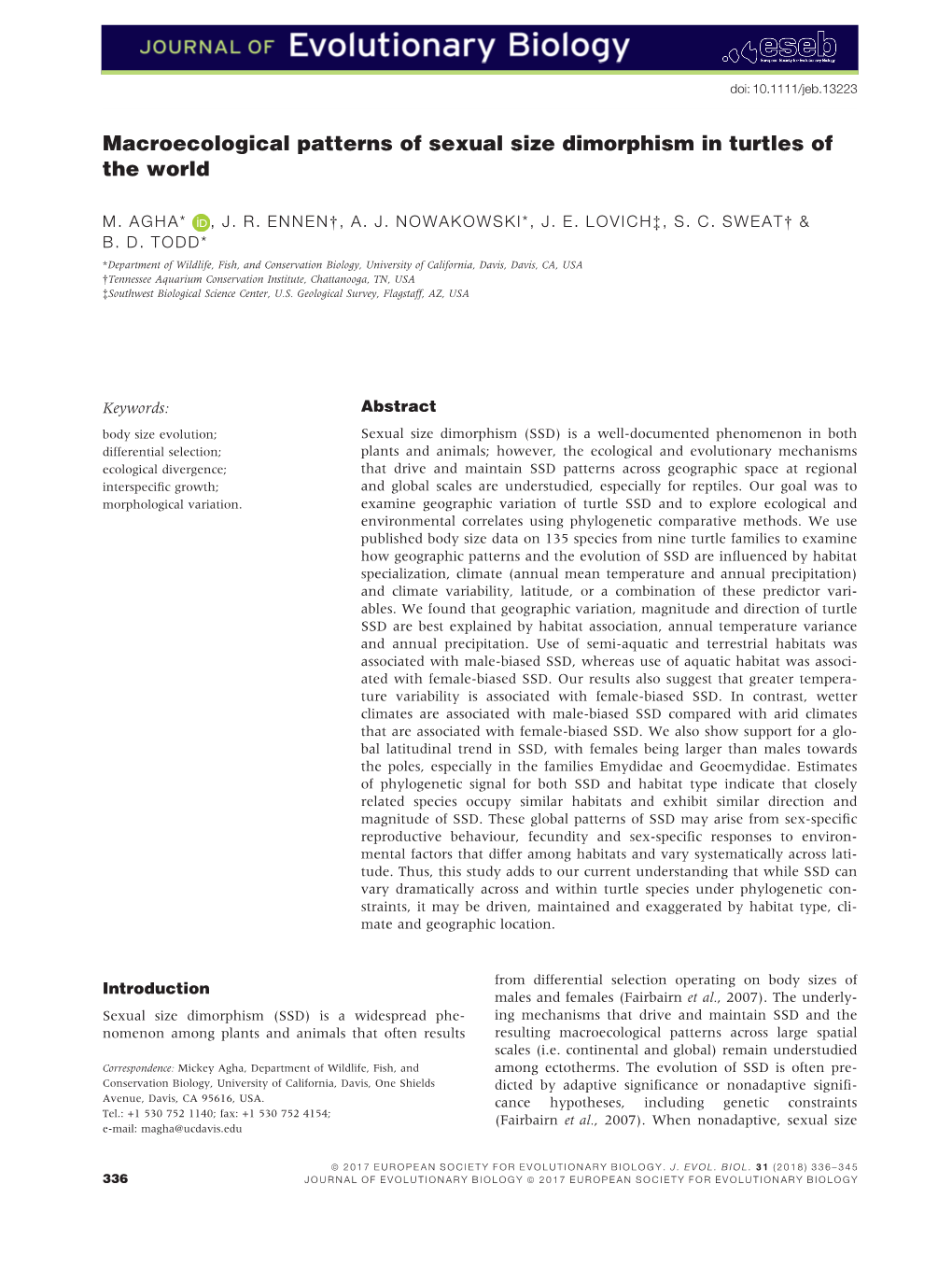 Macroecological Patterns of Sexual Size Dimorphism in Turtles of the World