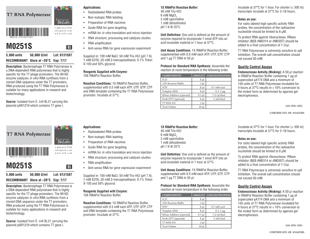 Datasheet for T7 RNA Polymerase