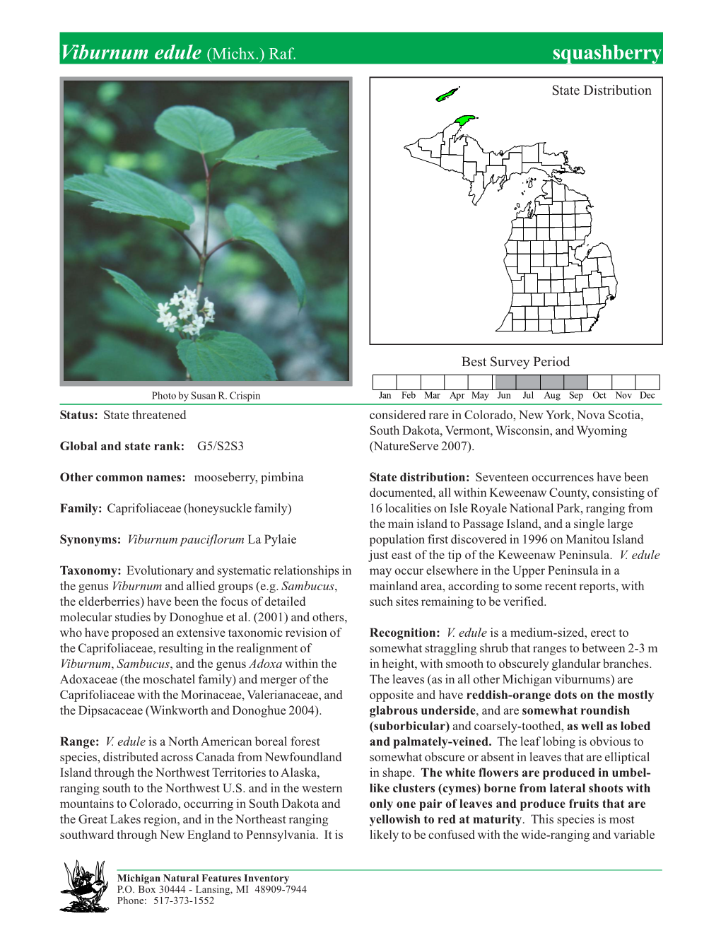 Viburnum Edule (Michx.) Raf